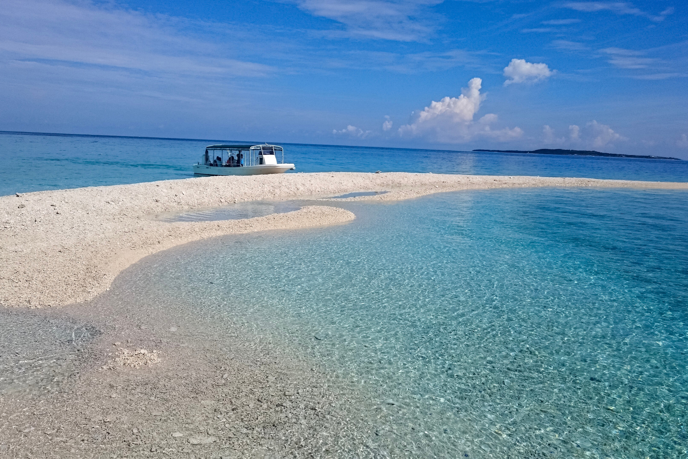 iriomote island (2).webp